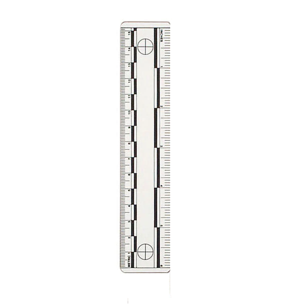 Lightning Powder Vinyl 6'' Ruler