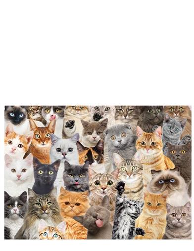 All The Cats Puzzle 33142