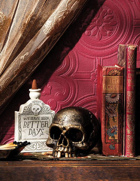 Eternal Quest For Knowledge Skull Bookend 34815 Victorian Trading Co