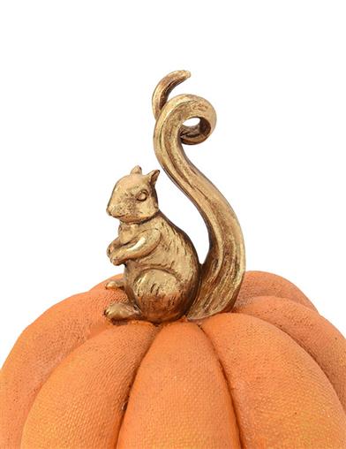 The Tail Of Seamus And The Gourd Pumpkin 34902