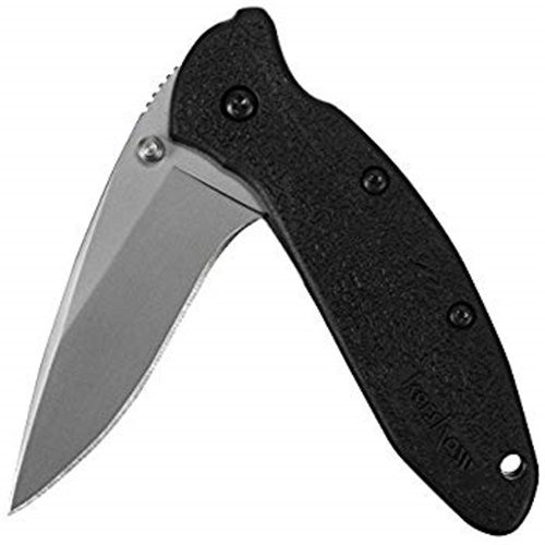 Kershaw Scallion