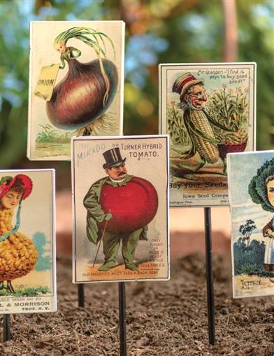 Anthropomorphic Vintage Veggie Stakes 33278 by Victorian Trading Co