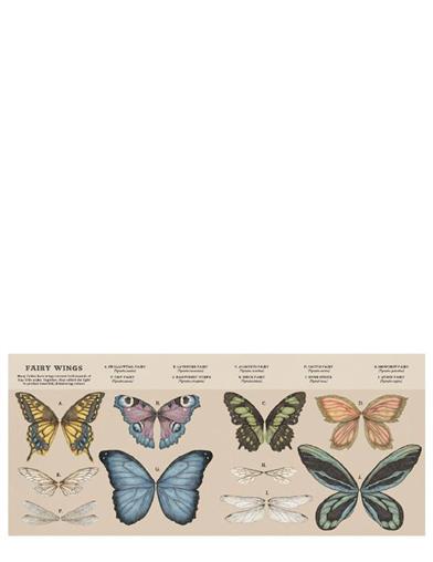 A Natural History Of Fairies Book 33280