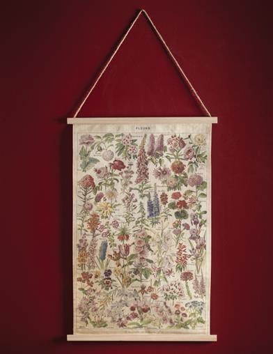 French Botanical Wall Scroll 33429