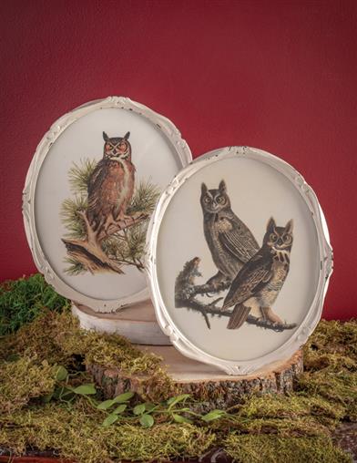 Vintage Owls Wall Art 33813