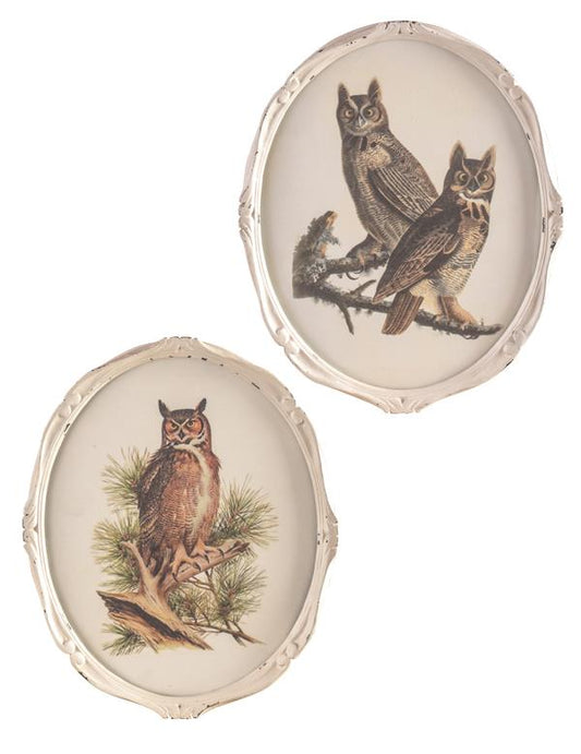 Vintage Owls Wall Art 33813