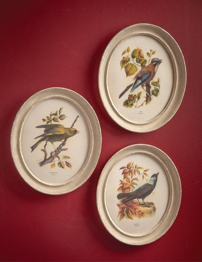 Antique Aviary Wall Art Set Of 3 33814
