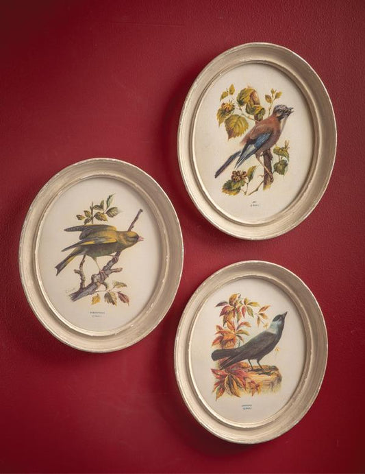 Antique Aviary Wall Art Set Of 3 33814