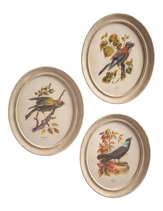 Antique Aviary Wall Art Set Of 3 33814