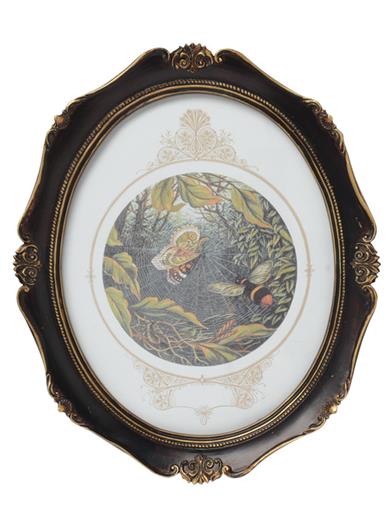 Fairy Mary's Dream Framed Art Prints (set Of 3) 34435