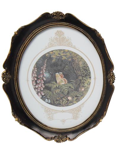 Fairy Mary's Dream Framed Art Prints (set Of 3) 34435