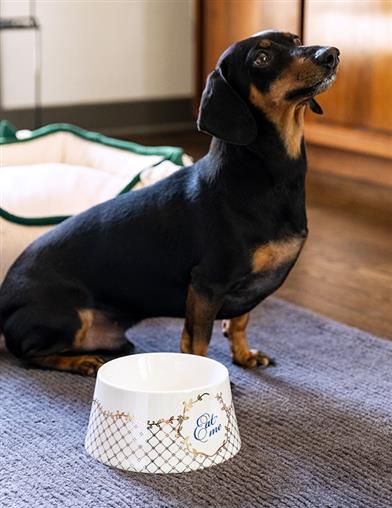 Eat Me & Drink Me Pet Bowl 34474