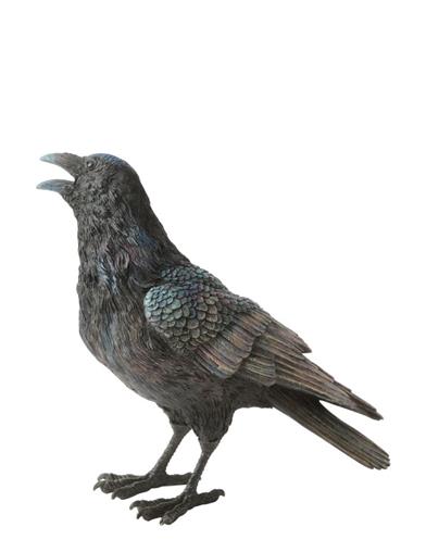Nestor The Ranting Raven 34870