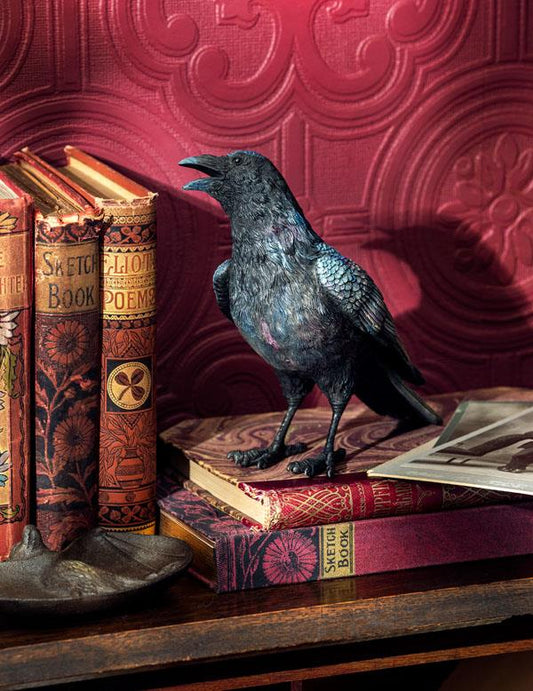 Nestor The Ranting Raven 34870