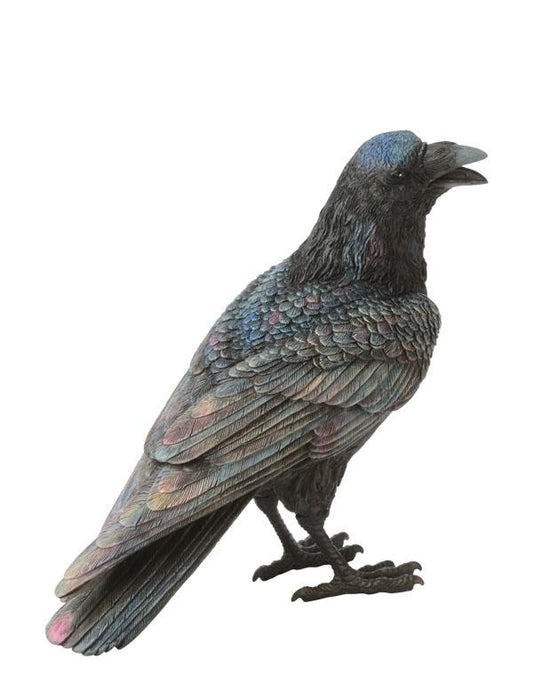 Nestor The Ranting Raven 34870