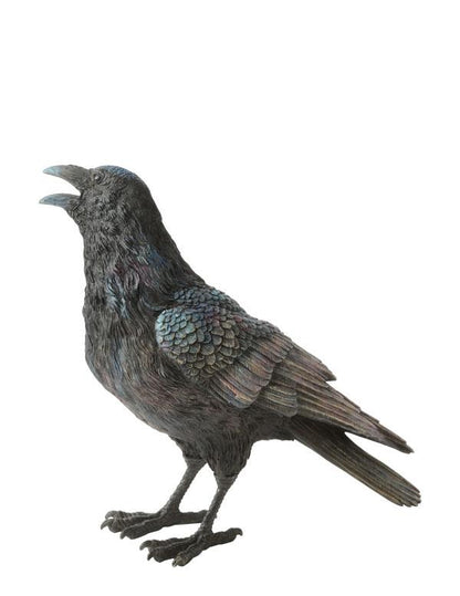Nestor The Ranting Raven 34870