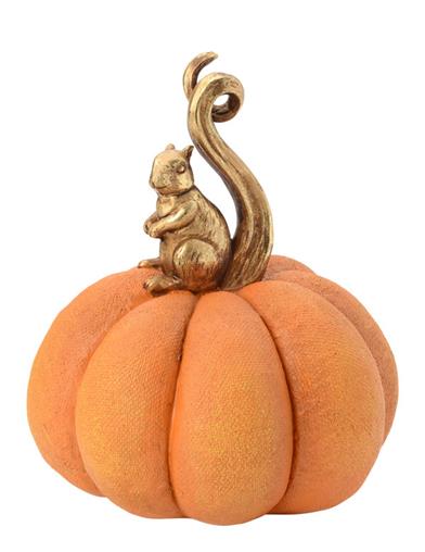 The Tail Of Seamus And The Gourd Pumpkin 34902