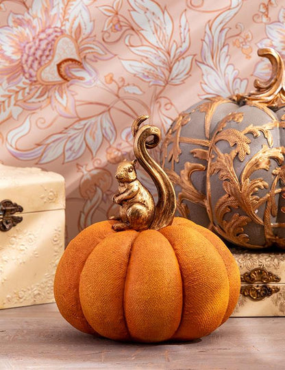 The Tail Of Seamus And The Gourd Pumpkin 34902