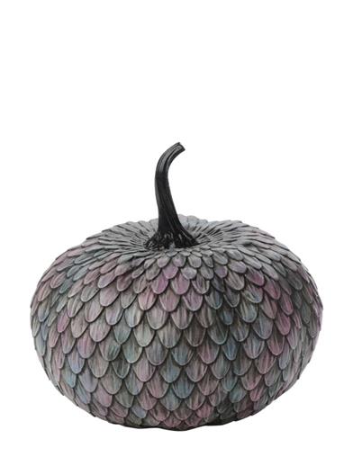 Raven Feather Pumpkin 34903