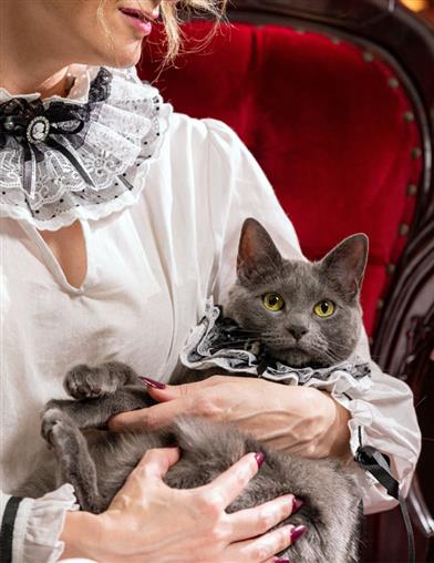 Gothic Victorian Pet Collar 34928 by Victorian Trading Co